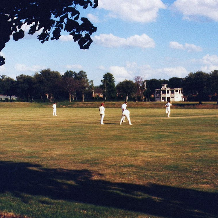 Fantasy Cricket